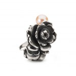 TAGBE-00274
