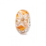 tagbe-10437