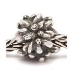 Trollbeads World Tour Switzerland Edelweiss